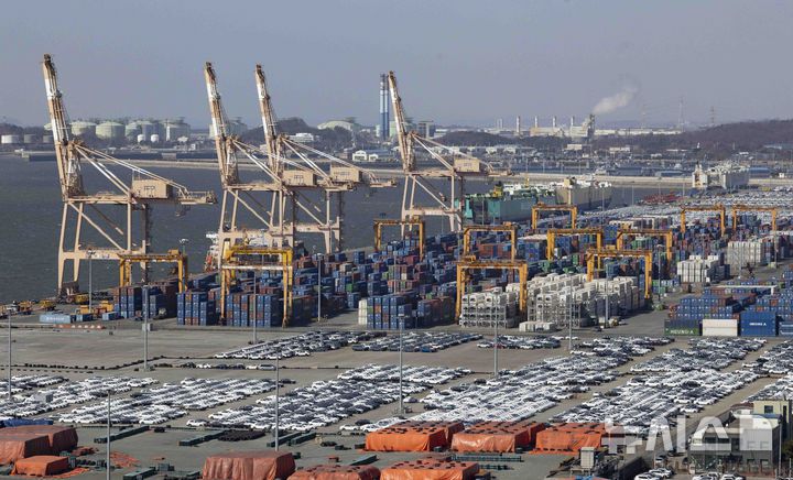 [평택=뉴시스] 김근수 기자 = 사진은 지난 17일 경기 평택항에 수출용 차량들이 세워져 있는 모습. 2025.02.17. ks@newsis.com