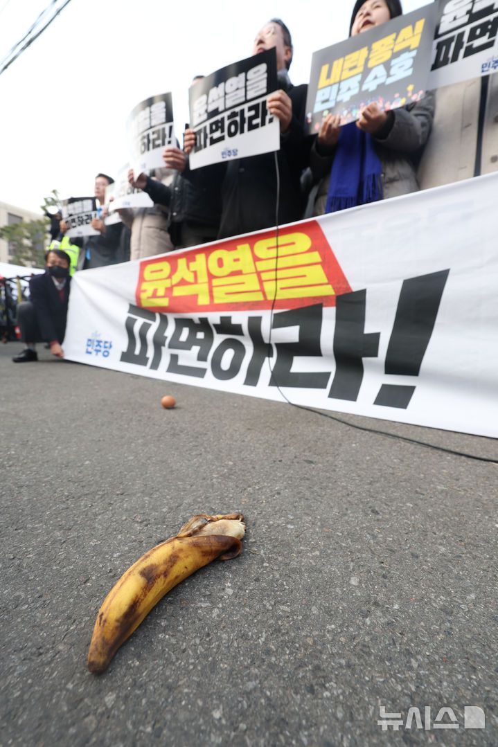 [서울=뉴시스] 홍효식 기자 = 20일 오전 서울 종로구 헌법재판소 앞에서 더불어민주당 원내부대표단의 내란수괴 윤석열 신속파면 촉구 기자회견이 열리고 있는 가운데 탄핵 반대 시위자가 던진 바나나 및 계란이 떨어져 잇다. 2025.03.20. yesphoto@newsis.com