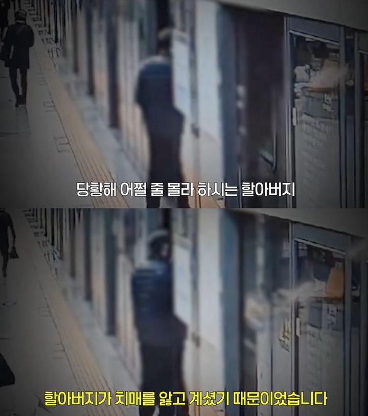뉴시스