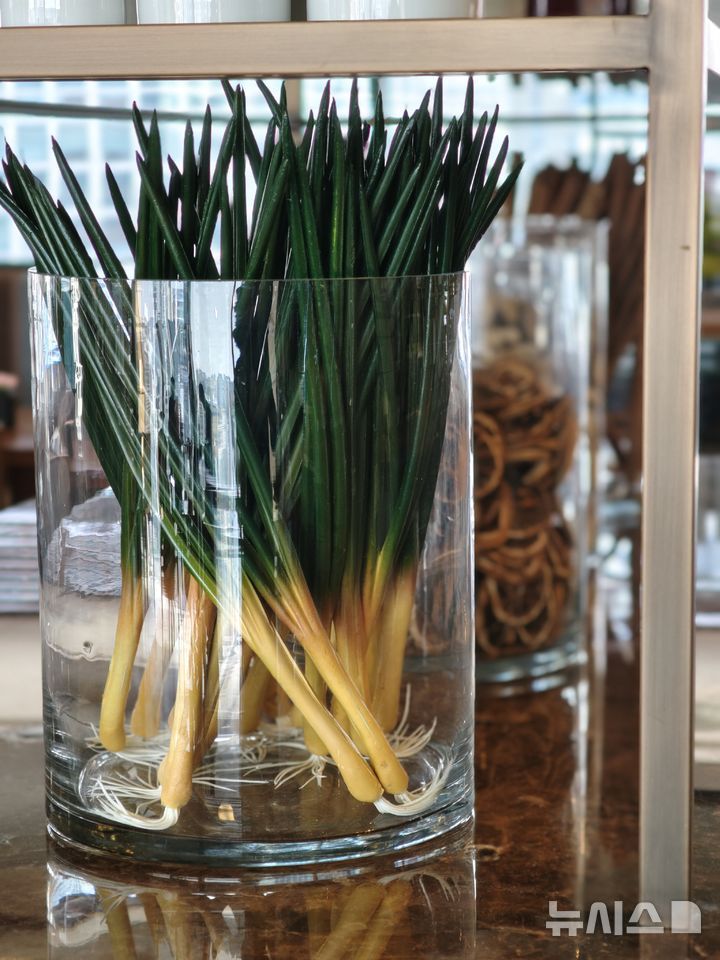 [서울=뉴시스]샤오미15 울트라로 촬영한 사진. 1인치 이미지센서를 탑재하고 있어 자연스러운 보케 현상을 제공하면서도 선명한 화질을 제공한다.