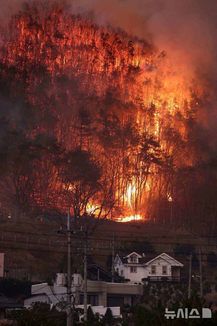 [안동=뉴시스] 이무열 기자 = 경북 의성군 산불 발생 나흘째인 25일 산불이 안동시 남후면 광음리 마을 인근까지 번지고 있다. 2025.03.25. lmy@newsis.com