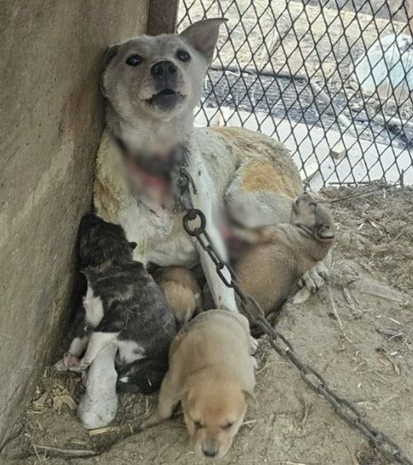 뉴시스
