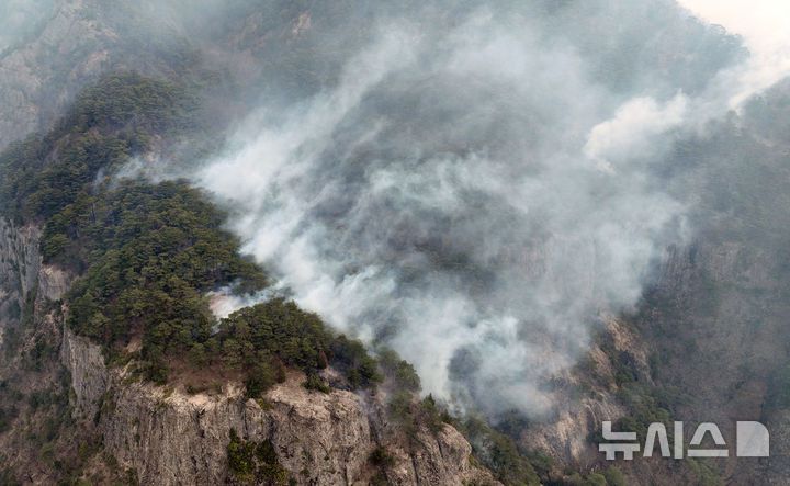 [청송=뉴시스] 이무열 기자 = 27일 경북 청송군 주왕산국립공원에서 연기가 피어오르고 있다. 2025.03.27. lmy@newsis.com