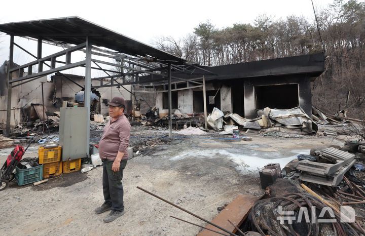 [의성=뉴시스] 김금보 기자 = 27일 경북 의성군 점곡면 동변1리의 한 산불 피해농가에서 주민이 낙담하고 있다. 2025.03.27. kgb@newsis.com