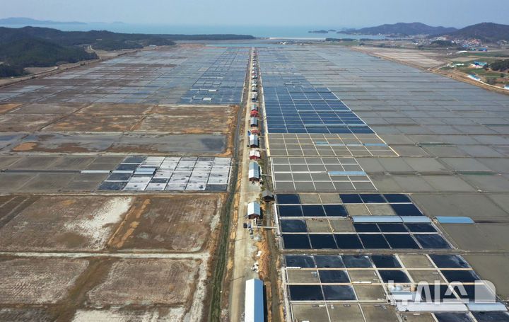 [신안=뉴시스] 이영주 기자 = 7일 오전 전남 신안군 하늘에서 바라본 태평염전에서 천일염 생산을 위한 해수를 채우는 작업이 진행 중이다. 태평염전에서 생산돼 수출길에 오른 일부 천일염 제품은 지난 3일(현지 시간) 미국 세관국경보호청(CBP)에 의해 '강제노동에 의한 생산품'으로 의심돼 수입 보류 명령이 내려졌다. 2025.04.07. leeyj2578@newsis.com