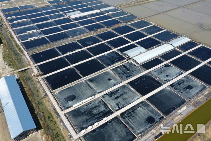 [신안=뉴시스] 이영주 기자 = 7일 오전 전남 신안군 하늘에서 바라본 태평염전에서 천일염 생산을 위해 해수를 말리는 작업이 진행되고 있다. 태평염전에서 생산돼 수출길에 오른 일부 천일염 제품은 지난 3일(현지 시간) 미국 세관국경보호청(CBP)에 의해 '강제노동에 의한 생산품'으로 의심돼 수입 보류 명령이 내려졌다. 2025.04.07. leeyj2578@newsis.com