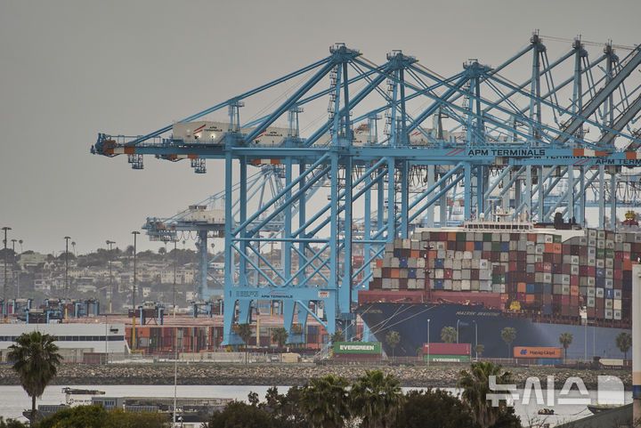 [로스앤젤레스=AP/뉴시스] 미국 로스앤젤레스(LA) 항구에 지난달 15일(현지 시간) 한 컨테이너선이 정박해 있다. 2025.05.29.