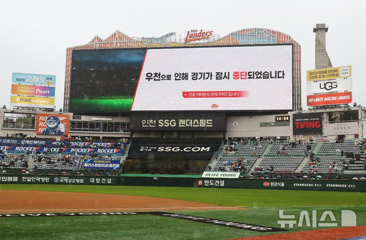 뉴시스