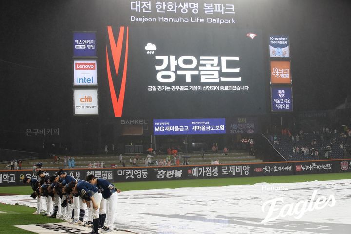 뉴시스
