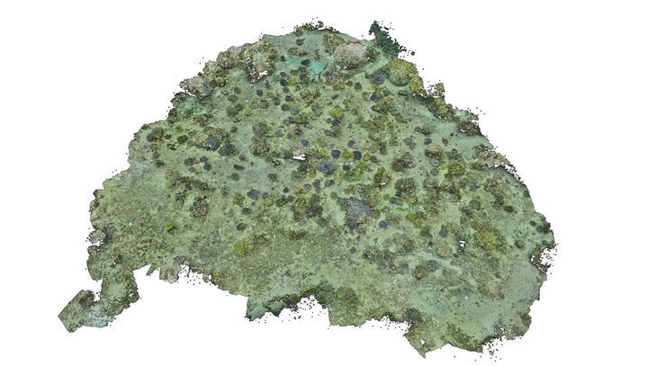 삼성전자 해양 생태계 복원 프로젝트 '코랄 인 포커스(Coral in Focus)'의 3D 산호초 복원도. (사진=삼성전자 제공) *재판매 및 DB 금지