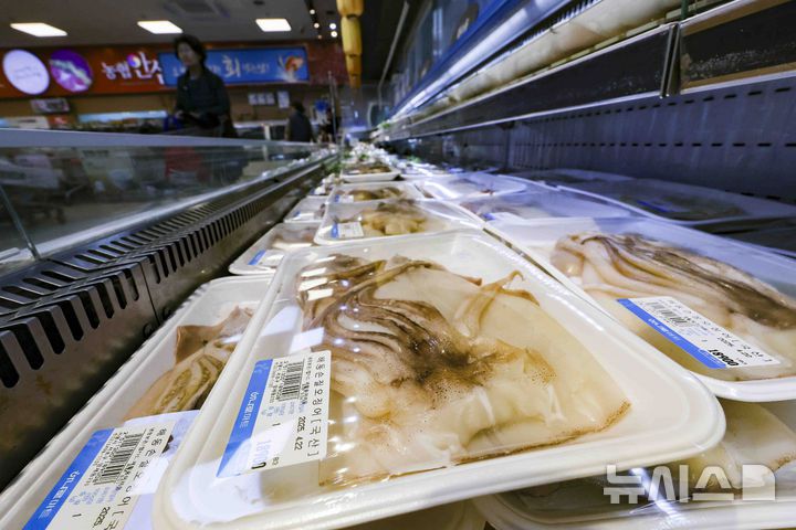 [서울=뉴시스] 김근수 기자 = 22일 서울 시내의 한 대형마트에 오징어가 판매되고 있다.한국은행이 발표한 지난달 생산자물가지수는 120.32(2020=100)로 전월(120.33)보다 0.01포인트 올라 보합세(0.0%)를 보였다. 2월(0.0%)에 이은 2개월 때 보합세다. 다만 전년 동월 대비로는 1.3% 상승했다. 세부적으로는 축산물 중에서 달걀(6.8%)이 올랐으며, 수산물 중에서는 물오징어(19.9%)가 올랐다. 2025.04.22. ks@newsis.com