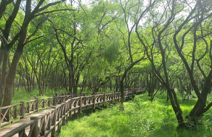 [광주=뉴시스] 광주호수생태원. (사진=광주시청 제공). photo@newsis.com *재판매 및 DB 금지