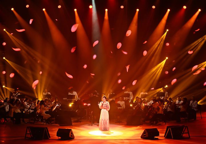 [서울=뉴시스] 조수정 기자 = '엘레지의 여왕' 국민가수 이미자가 26일 서울 세종문화회관 대극장에서 '전통가요 헌정 공연 <맥(脈)을 이음>'을 열고 열창하고 있다. (사진=쇼당이엔티 제공) 2025.04.27. photo@newsis.com *재판매 및 DB 금지