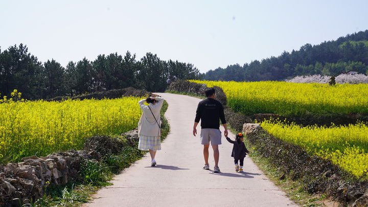 [세종=뉴시스] 농림축산식품부는 전 세계적으로 인기를 끌고 있는 '케이(K)-푸드'에 이어 전통 농업유산과 자연경관이 어우러진 '케이 아그로 헤리티지(K-Agro Heritage)'의 대표 사례로 전남 완도군 청산도를 30일 소개했다. (사진=농식품부 제공) 2025.04.30. photo@newsis.com *재판매 및 DB 금지