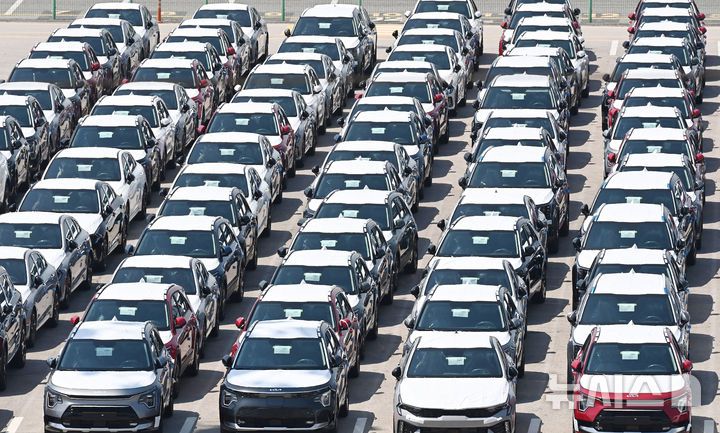 [평택=뉴시스] 김종택 기자 = 29일 경기 평택항 자동차 전용부두에 선적을 기다리는 수출용 차량이 세워져 있다. 2025.04.29. jtk@newsis.com