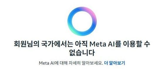 [서울=뉴시스] 현재 한국에서는 메타 AI 서비스를 이용할 수 없다. 2025.04.30 (사진=메타 AI 홈페이지 캡처) *재판매 및 DB 금지