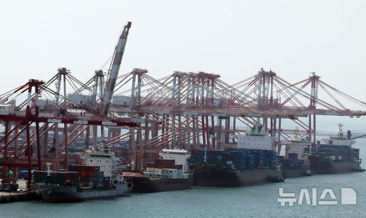 [부산=뉴시스] 하경민 기자 = 부산 남구 신선대부두에서 수출입 컨테이너 선적 및 하역작업이 진행되고 있다. 2025.05.12. yulnetphoto@newsis.com