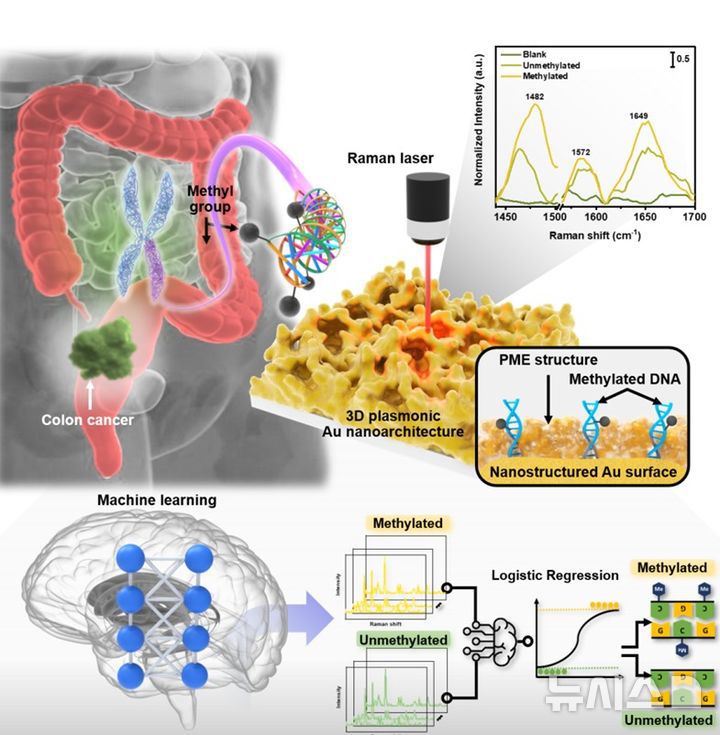 [창원=뉴시스]한국재료연구원 바이오·헬스재료연구본부 선임연구원 정호상 박사와 살라후딘 학생연구원이 개발한 혈액 내 극미량 암 DNA의 고감도 검출 및 인공지능 기반 분석 방법.(사진=한국재료연구원 제공) 2025.05.13. photo@newsis.com