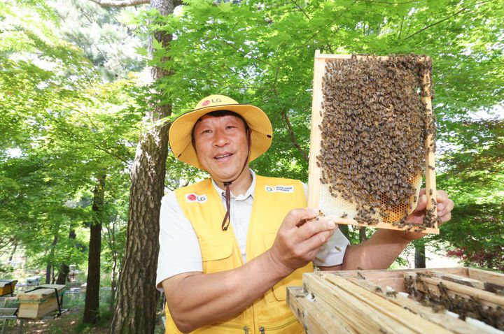 [서울=뉴시스]LG가 조성한 토종 꿀벌 서식지에서 김대립 명인이 꿀벌통을 들어 보이고 있다. (사진 = LG) 2025.05.19. photo@newsis.com  *재판매 및 DB 금지