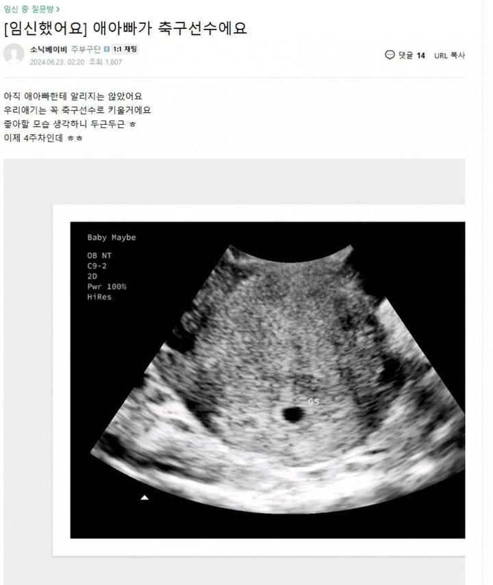 [서울=뉴시스] 지난해 6월 포털사이트 카페에 올라온 글. (출처=온라인 커뮤니티 갈무리) 2025.05.19. photo@newsis.com *재판매 및 DB 금지