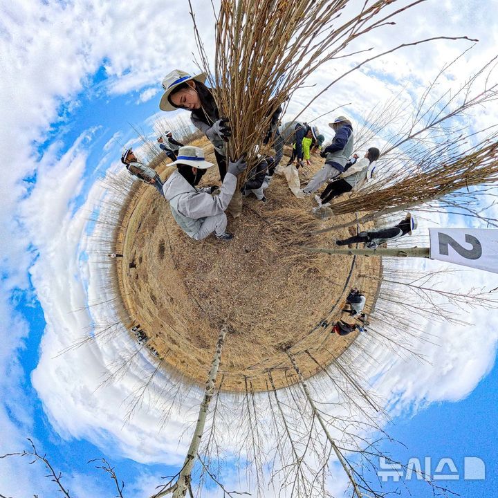 [바가노르(몽골)=뉴시스] 박주성 기자 = 대한항공과 아시아나항공 임직원들이 지난 20일 몽골 울란바타르시 바가노르구에 위치한 대한항공 숲에서 식림 활동을 하고 있다. 올해는 대한항공이 아시아나항공을 인수한 이후 처음 맞는 식림 활동으로 양사의 신입·인솔직원 260여 명이 함께 참여해 서로를 이해하고 협력하는 시간을 가졌다. 2025.05.21. park7691@newsis.com