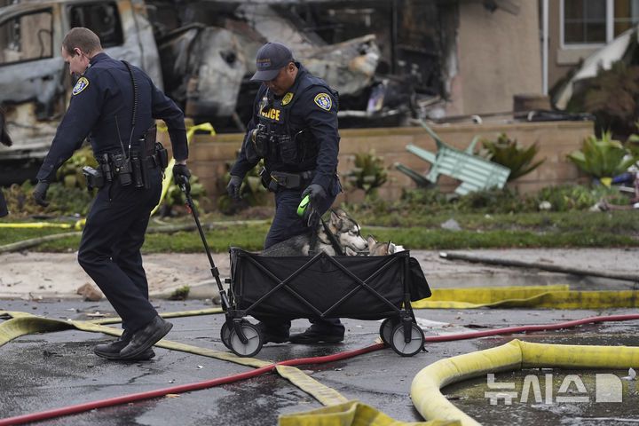 [샌디에이고=AP/뉴시스] 22일(현지 시간) 미국 캘리포니아주 샌디에이고 주택가에 개인 비행기가 추락한 사고가 발생해 주민 대피령이 내려진 후 경찰들이 강아지를 옮기고 있다. 2025.05.23.
