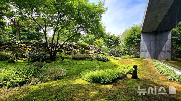 [제주=뉴시스] 임재영 기자 = 20일 오전 서귀포시 신효동 '베케' 정원. 돌무더기를 뜻하는 베케를 배경으로 이끼, 고사리 등이 사람의 손길이 닿지 않은 것처럼 자연스럽게 풍경에 녹아들었다. 2025.05.20. ijy788@newsis.com