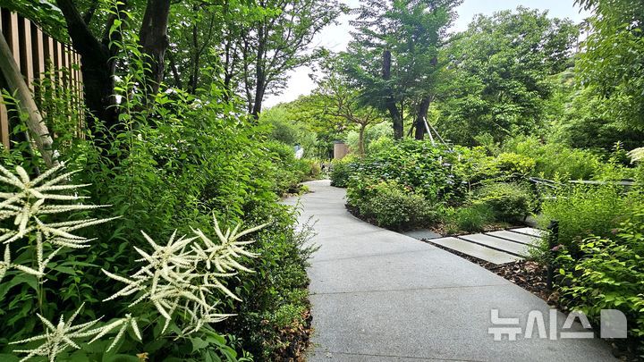 [제주=뉴시스] 임재영 기자 = 제주 서귀포시 중문관광단지에 위치한 롯데호텔 제주의 야외 '원생정원'은 국내 호텔업계 최초의 민간정원으로 등재됐다. 2025.05.20. ijy788@newsis.com