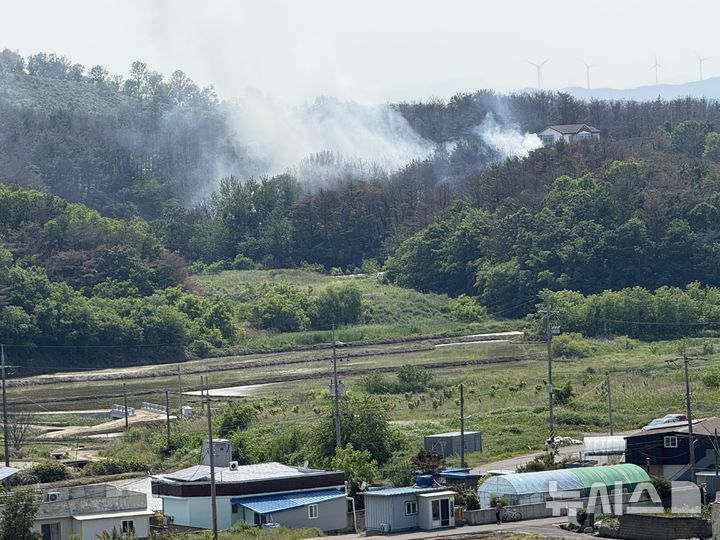 [포항=뉴시스] 안병철 기자 = 29일 오후 1시52분께 경북 포항시 남구 동해면 신정리 인근 야산에 해군 항공사령부 소속 P-3 해상초계기가 추락했다. 2025.05.29. abc1571@newsis.com