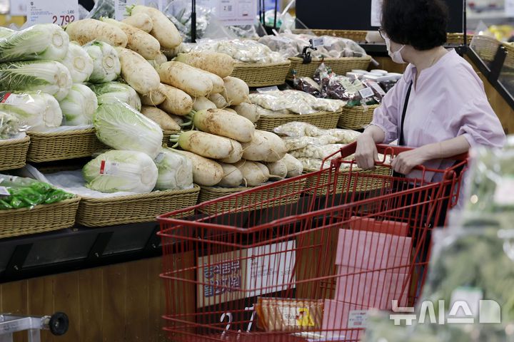 [서울=뉴시스] 최동준 기자 = 통계청이 4일 발표한 '5월 소비자물가동향'에 따르면 채소와 과일, 석유류 등의 가격 하락 영향으로 소비자물가 상승률이 올해 들어 처음 1%대로 떨어졌다.농산물 중 채소류 가격은 전년 동월 대비 5.4%나 급락해 37개월 만에 가장 큰 폭의 하락세를 나타냈다. 사진은 이날 서울 시내 대형마트 내 채소류 매대 모습. 2025.06.04. photocdj@newsis.com