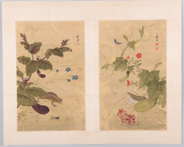 복원된 겸재 정선 화훼영모화첩 중 '하마가자'(두꺼비와 가지. 왼쪽)와 '과전전계'(외밭의 참개구리). 조선 18세기, 비단에 색 각 31.0×18.8cm, 간송미술문화재단 소장 *재판매 및 DB 금지