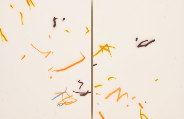 Frederic Anderson, Schizophrenic Colorways, Kinetic Piss 1 and 2, 2025 *재판매 및 DB 금지