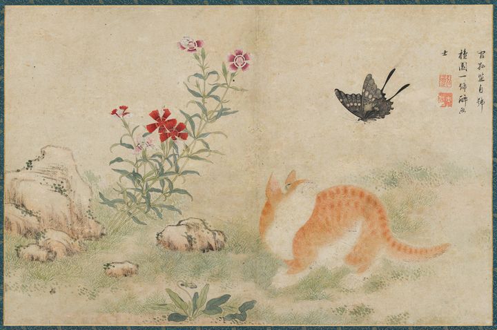 김홍도(金弘道, 1745~1806 이후) 황묘농접黃猫弄蝶 조선 18세기, 종이에 색 30.4×46.4cm, 간송미술문화재단 소장 *재판매 및 DB 금지