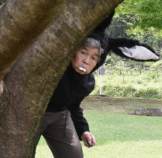 [뉴시스] (사진=니시모토 키미코 인스타그램) *재판매 및 DB 금지