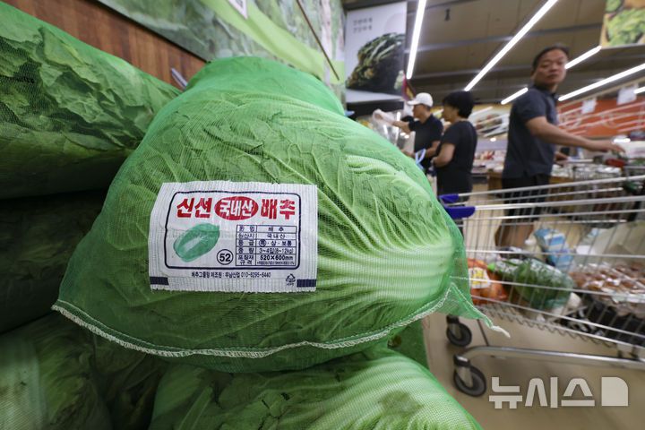 [서울=뉴시스] 김근수 기자 = 15일 서울 시내의 한 대형마트 매대에 배추가 진열돼 있다. 2025.06.15. ks@newsis.com