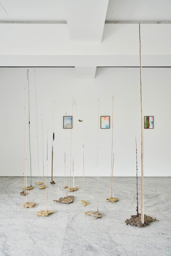 구현모 개인전 전시 전경. Installation view of Echoes from the Cabinet at PKM+ *재판매 및 DB 금지