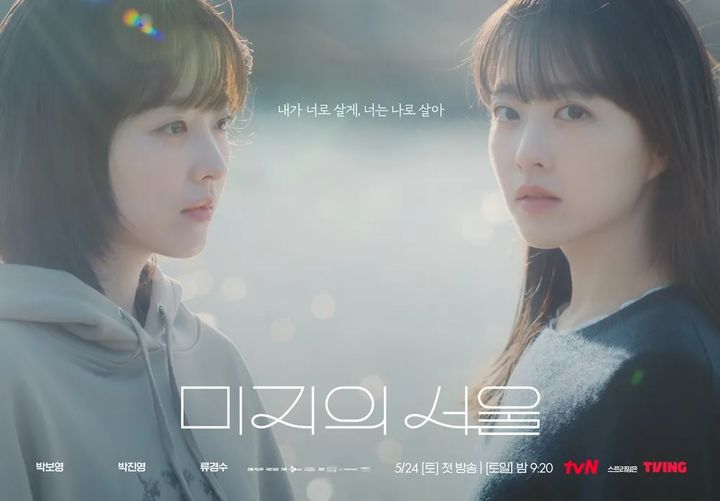 박보영