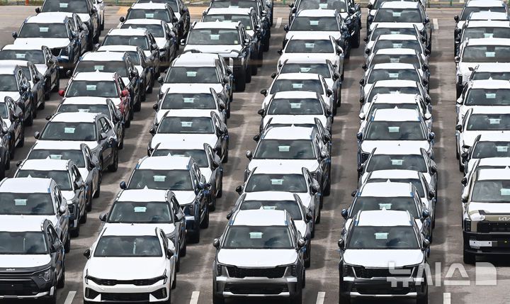 [평택=뉴시스] 김종택 기자 = 경기 평택항 자동차 전용부두에 수출용 차량이 세워져 있는 모습. 2025.07.01. jtk@newsis.com