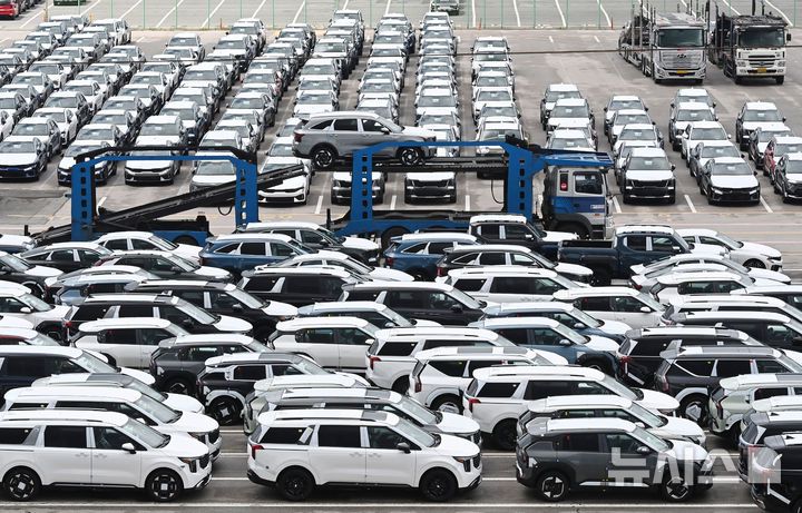 [평택=뉴시스] 김종택 기자 = 경기 평택항 자동차 전용부두에 수출용 차량이 세워져 있는 모습. 2025.07.01. jtk@newsis.com