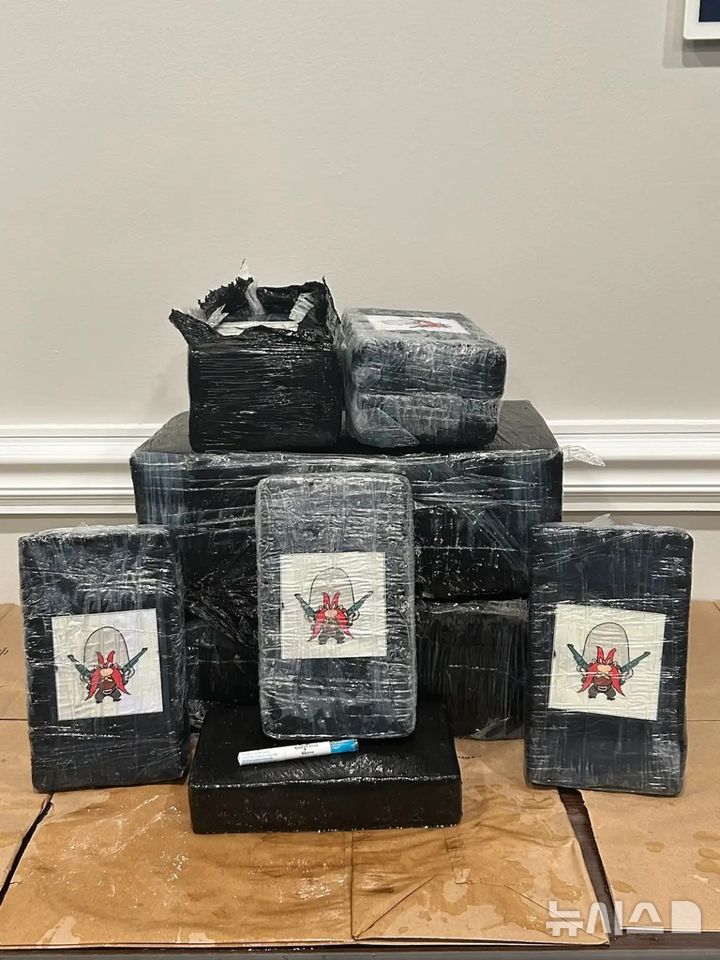 [뉴시스]플로리다 팬핸들 해변에서 만화 캐릭터 ‘요세미티 샘’이 부착된 코카인 더미가 발견됐다. (사진=뉴욕포스트) 2025.7.1