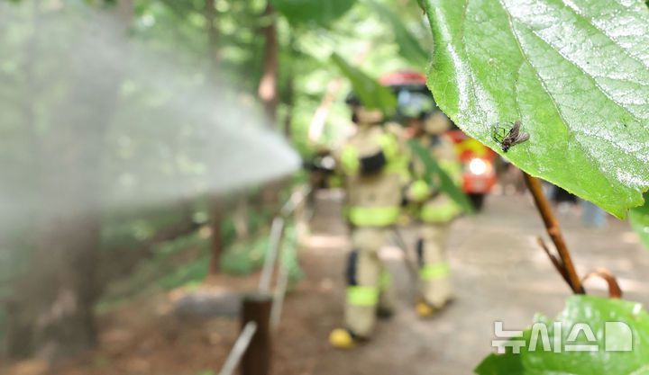 [서울=뉴시스] 권창회 기자 = 3일 서울 노원구 삼육대학교 인근 제명호에서 서울소방 관계자들이 '러브버그(붉은등우단털파리)' 방제작업을 하고 있다. 2025.07.03. kch0523@newsis.com