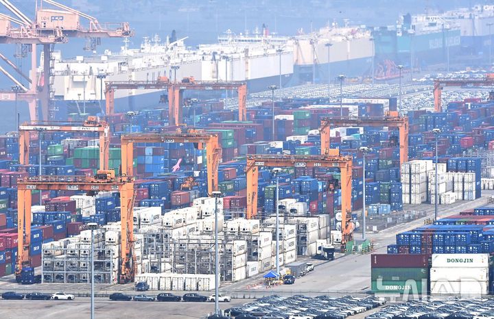 [평택=뉴시스] 김종택 기자 = 8일 경기 평택시 포승읍 평택항에 컨테이너가 쌓여있는 모습. 2025.07.08. jtk@newsis.com