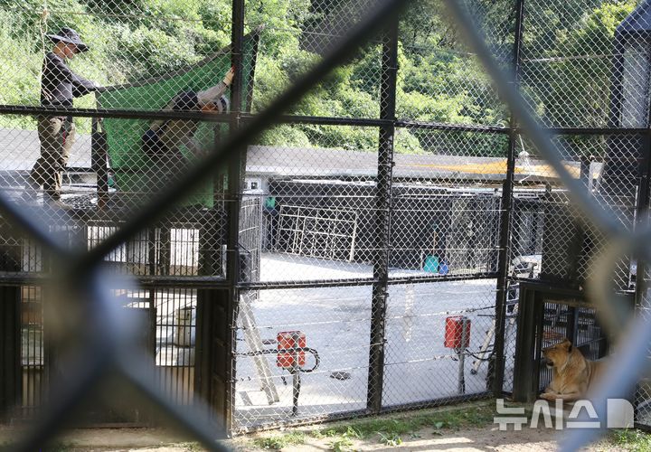 [청주=뉴시스] 서주영 기자 = 12일 오전 충북 청주동물원에서 사육사들이 보조방사장 위에 그늘막을 설치하고 있다. 2025.07.12. juyeong@newsis.com *재판매 및 DB 금지