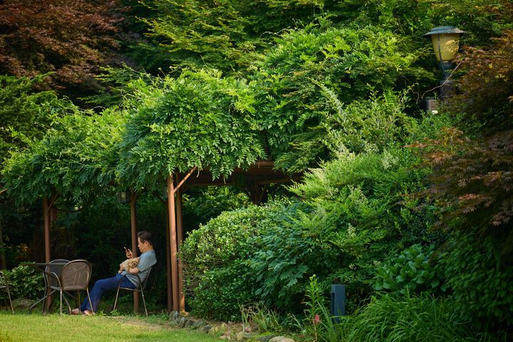 [서울=뉴시스] 대통령실은 이재명 대통령이 서울 한남동 관저에서 반려견 '바비'와 함께하는 모습을 14일 SNS에 공개했다.이 대통령은 '사람과 동물이 함께 어우러져 조화롭게 공존하고, 서로의 삶을 풍요롭게 만드는 동물복지 선진국 대한민국을 그려봅니다.'라는 메시지를 남겼다. (사진=대통령실 제공) 2025.07.14. photo@newsis.com *재판매 및 DB 금지