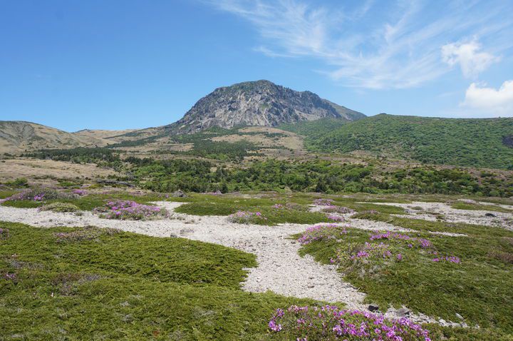 [서울=뉴시스] 한라산 모세왓 유문암질 각력암 지대 전경 (사진=국가유산청 제공) 2025.07.15.  photo@newsis.com *재판매 및 DB 금지
