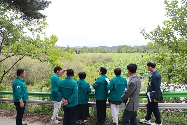 [창녕=뉴시스] 창녕군의회 의원들이 우포늪과 사지포 연꽃군락지를 살펴보고 있다. (사진= 창녕군의회 제공) 2025.07.16. photo@newsis.com *재판매 및 DB 금지