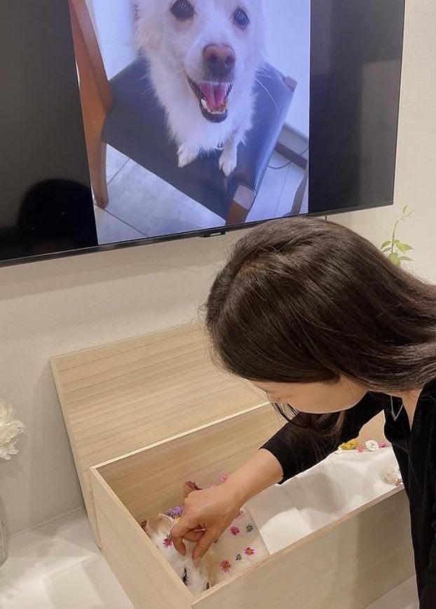 [서울=뉴시스] 배우 김하영이 SNS를 통해 반려견의 죽음을 전했다. 사진은 장례식장에서 반려견을 마지막으로 배웅하는 모습. (사진=김하영 인스타그램 캡처) 2025.07.19. photo@newsis.com *재판매 및 DB 금지