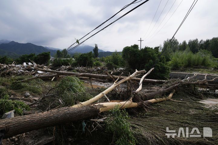 [미원=AP/뉴시스] 28일(현지 시간) 중국 베이징 외곽 미원구 타이시툰에 내린 폭우로 나무가 부러져 있다. 2025.07.29.