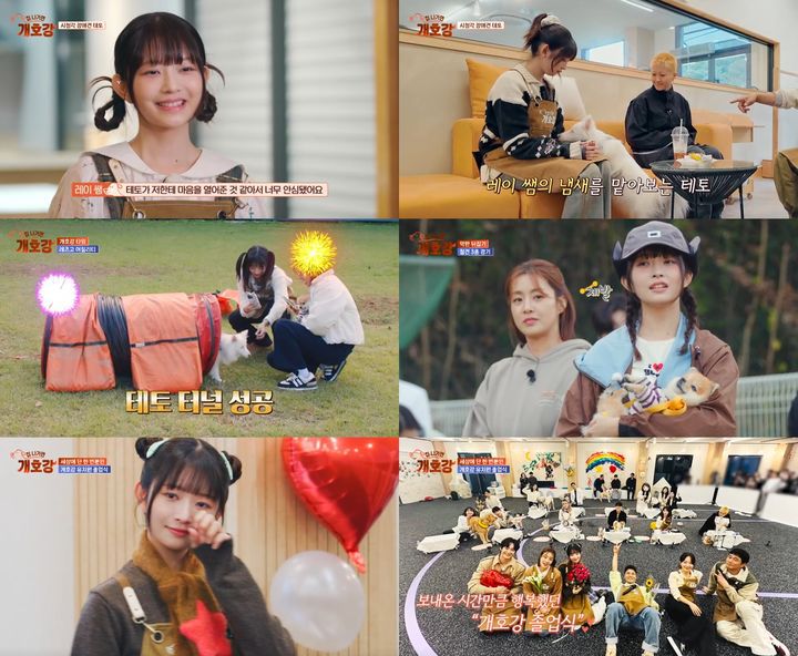 [서울=뉴시스] 그룹 아이브 레이. (사진 = 스타쉽엔터테인먼트 제공·JTBC '집 나가면 개호강' 캡처) 2025.08.01. photo@newsis.com *재판매 및 DB 금지