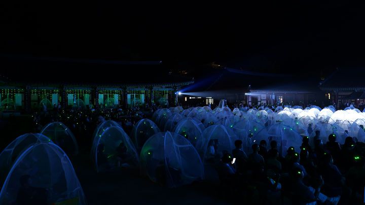 [서울=뉴시스] 고범준 기자 = 지난 2일 지리산 대화엄사 화엄원 특설무대에서 열린 제5회 지리산 대화엄사 모기장영화음악회에서 관객들이 공연을 보고 있다. (사진=지리산 대화엄사 제공) 2025.08.03. photo@newsis.com *재판매 및 DB 금지